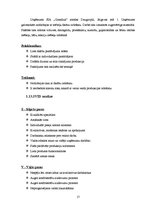 Biznesa plāns 'SIA "Vanags" biznesa plāns', 17.