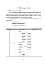 Biznesa plāns 'SIA "Vanags" biznesa plāns', 19.