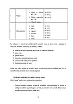 Biznesa plāns 'SIA "Vanags" biznesa plāns', 20.