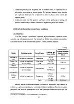 Biznesa plāns 'SIA "Vanags" biznesa plāns', 21.