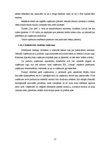 Biznesa plāns 'SIA "Vanags" biznesa plāns', 22.