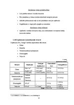 Biznesa plāns 'SIA "Vanags" biznesa plāns', 24.