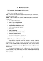 Biznesa plāns 'SIA "Vanags" biznesa plāns', 27.