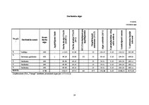 Biznesa plāns 'SIA "Vanags" biznesa plāns', 29.