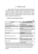 Biznesa plāns 'SIA "Vanags" biznesa plāns', 30.