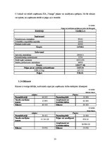 Biznesa plāns 'SIA "Vanags" biznesa plāns', 33.