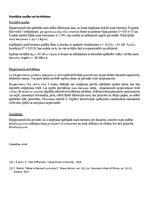 Konspekts 'Babinē princips', 5.