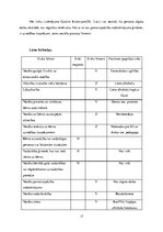 Prakses atskaite 'Sociālā gadījuma risināšana', 17.