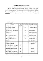 Prakses atskaite 'Sociālā gadījuma risināšana', 30.