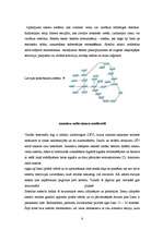 Referāts 'Elektromagnētisko viļņu izmantošana', 6.