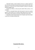 Referāts 'ES valsts - Somija', 13.