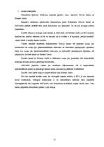 Referāts 'Latvijas komercbanku konkurētspēja ar nebanku kredīta piedāvātājiem', 55.