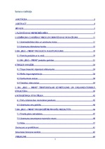 Diplomdarbs 'Biznesa plāns un finanšu plūsma', 1.