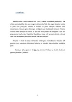 Diplomdarbs 'Biznesa plāns un finanšu plūsma', 3.