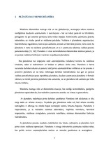 Diplomdarbs 'Biznesa plāns un finanšu plūsma', 7.