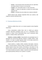 Diplomdarbs 'Biznesa plāns un finanšu plūsma', 13.