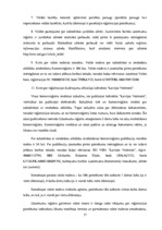 Diplomdarbs 'Biznesa plāns un finanšu plūsma', 17.