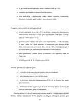 Diplomdarbs 'Biznesa plāns un finanšu plūsma', 22.