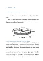 Diplomdarbs 'Biznesa plāns un finanšu plūsma', 24.