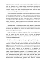 Diplomdarbs 'Biznesa plāns un finanšu plūsma', 35.