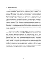 Diplomdarbs 'Biznesa plāns un finanšu plūsma', 43.