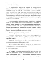 Diplomdarbs 'Biznesa plāns un finanšu plūsma', 44.