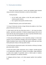 Diplomdarbs 'Biznesa plāns un finanšu plūsma', 47.