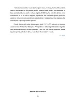 Diplomdarbs 'Biznesa plāns un finanšu plūsma', 53.