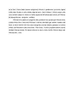 Konspekts 'Pērkons', 3.