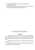 Referāts 'Kornēlija Apšukrūma - panākumu cilvēks', 4.