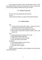 Referāts 'Kornēlija Apšukrūma - panākumu cilvēks', 11.