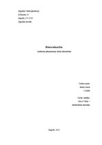 Referāts 'Datoratkarība', 1.