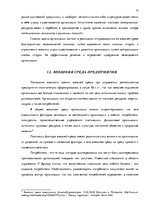 Diplomdarbs 'Анализ вешней и внутренней среды компании "Skaisto skatu aģentūra"', 10.