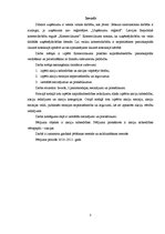 Referāts 'Komerclikuma prasības kapitālsabiedrību pamatkapitāla veidošanai un palielināšan', 3.