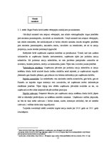 Referāts 'Komerclikuma prasības kapitālsabiedrību pamatkapitāla veidošanai un palielināšan', 11.