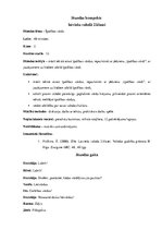 Konspekts 'Stundas konspekts tēmas "Īpašības vārds" apguvei 2.klasē', 3.