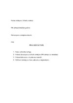 Prakses atskaite 'Pētnieciskās prakses materiāli pirmsskolā', 6.