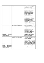 Prakses atskaite 'Pētnieciskās prakses materiāli pirmsskolā', 9.