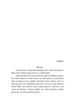 Prakses atskaite 'Pētnieciskās prakses materiāli pirmsskolā', 10.