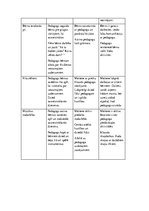 Prakses atskaite 'Pētnieciskās prakses materiāli pirmsskolā', 13.