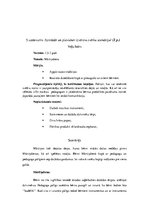 Prakses atskaite 'Pētnieciskās prakses materiāli pirmsskolā', 23.