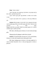 Prakses atskaite 'Pētnieciskās prakses materiāli pirmsskolā', 27.