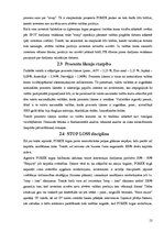 Referāts 'Starptautiskā valūtas tirgusattīstības tendences', 13.