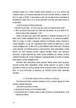 Referāts 'Bērna izcelšanās noteikšana, paternitātes pieņēmums un tā apstrīdēšana', 10.