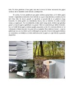 Eseja 'Papīra ražošana, vēsture', 4.