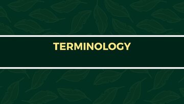 Prezentācija 'Presentation on Agriculture and Botany Terms: English to Latvian', 8.