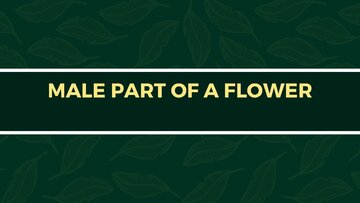 Prezentācija 'Presentation on Agriculture and Botany Terms: English to Latvian', 10.