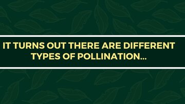 Prezentācija 'Presentation on Agriculture and Botany Terms: English to Latvian', 18.