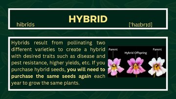 Prezentācija 'Presentation on Agriculture and Botany Terms: English to Latvian', 25.