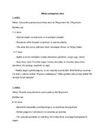 Referāts 'Gala darbs - Pašefektivitāte un pašregulācija', 3.